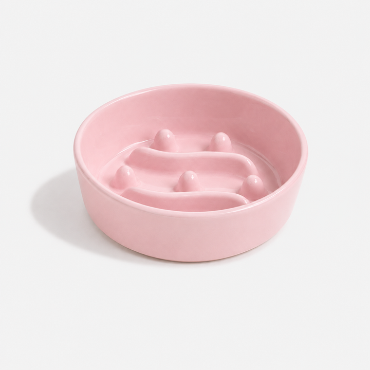CenturyPaw ceramic slow feeder bowl for dogs and cats
