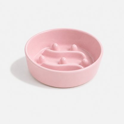 🎁 Premium Ceramic Slow Feeder Bowl for Dogs & Cats (100% off)