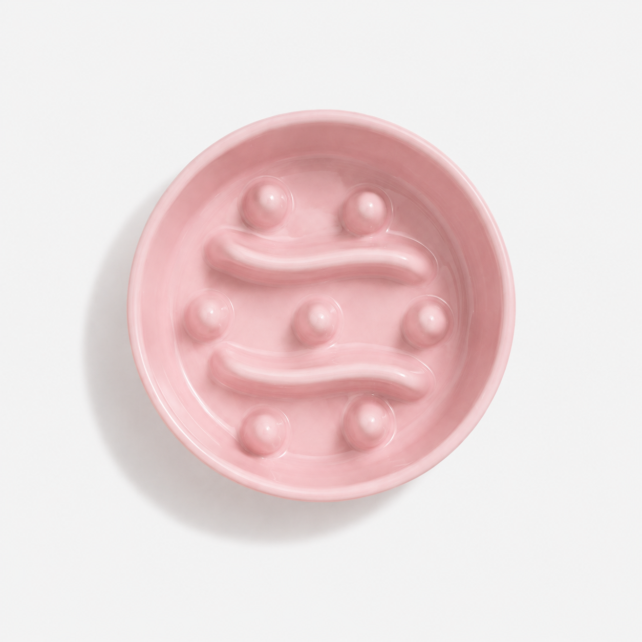 Premium Ceramic Slow Feeder Bowl for Dogs & Cats