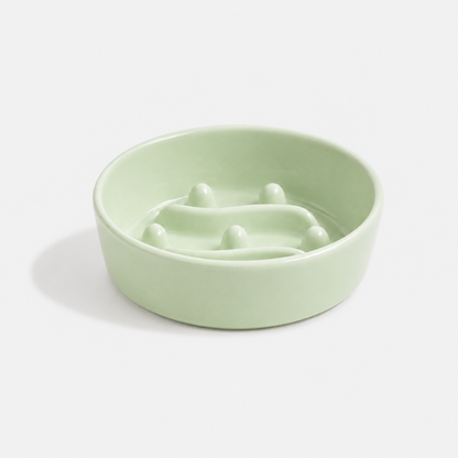 Premium Ceramic Slow Feeder Bowl for Dogs & Cats