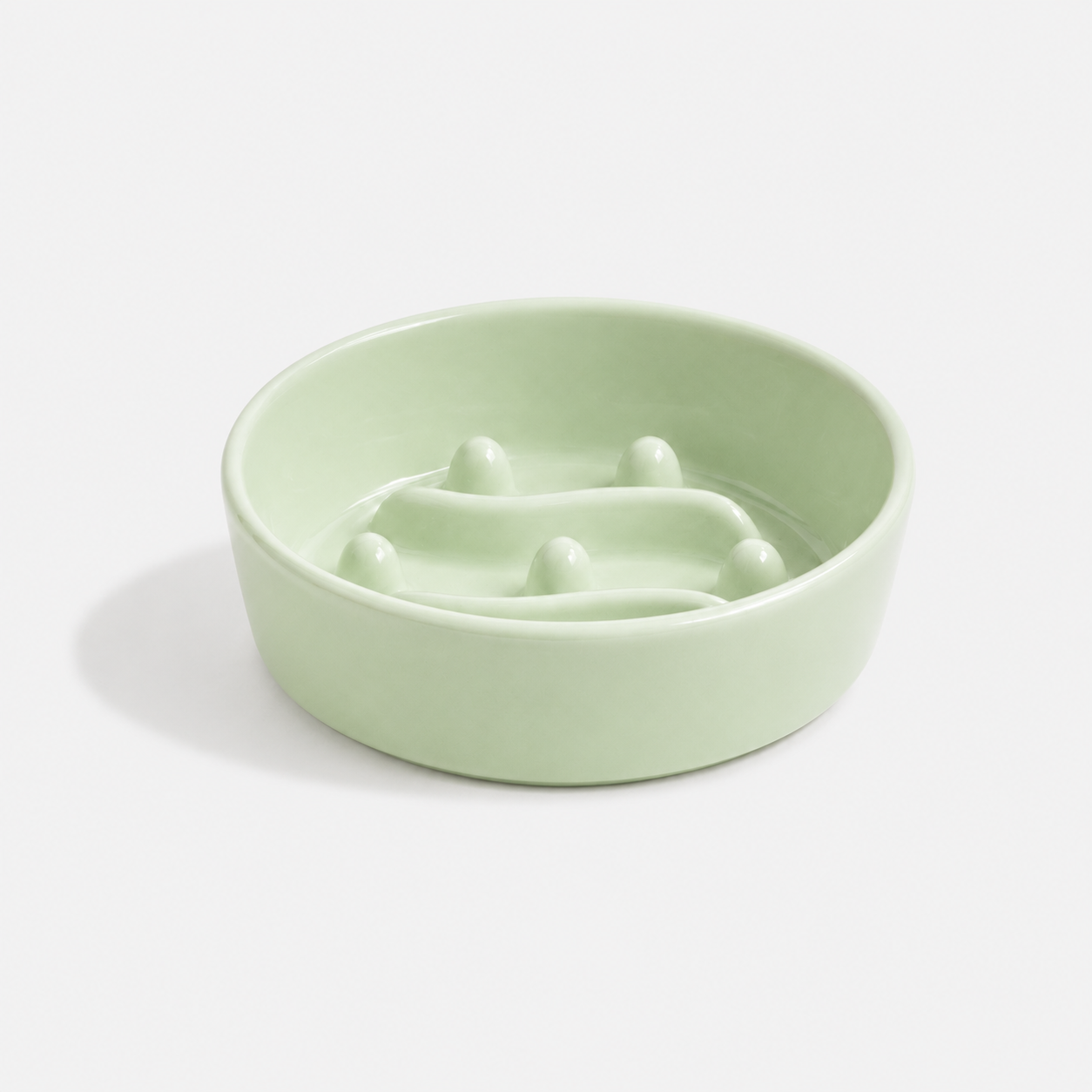 🎁 Premium Ceramic Slow Feeder Bowl for Dogs & Cats (50% off)