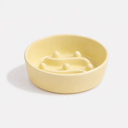 🎁 Premium Ceramic Slow Feeder Bowl for Dogs & Cats (50% off)